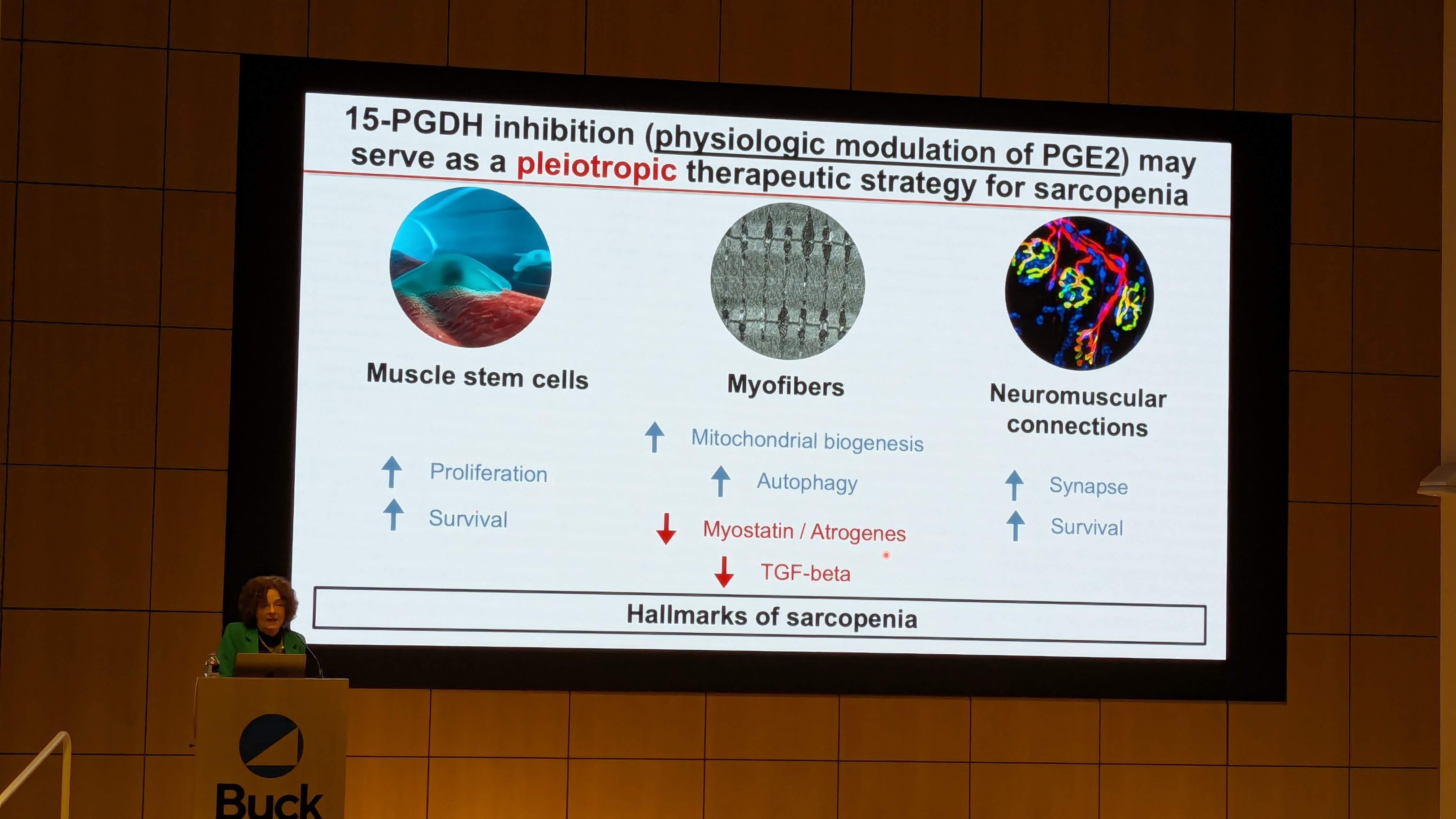 PXL_20251209_180658074