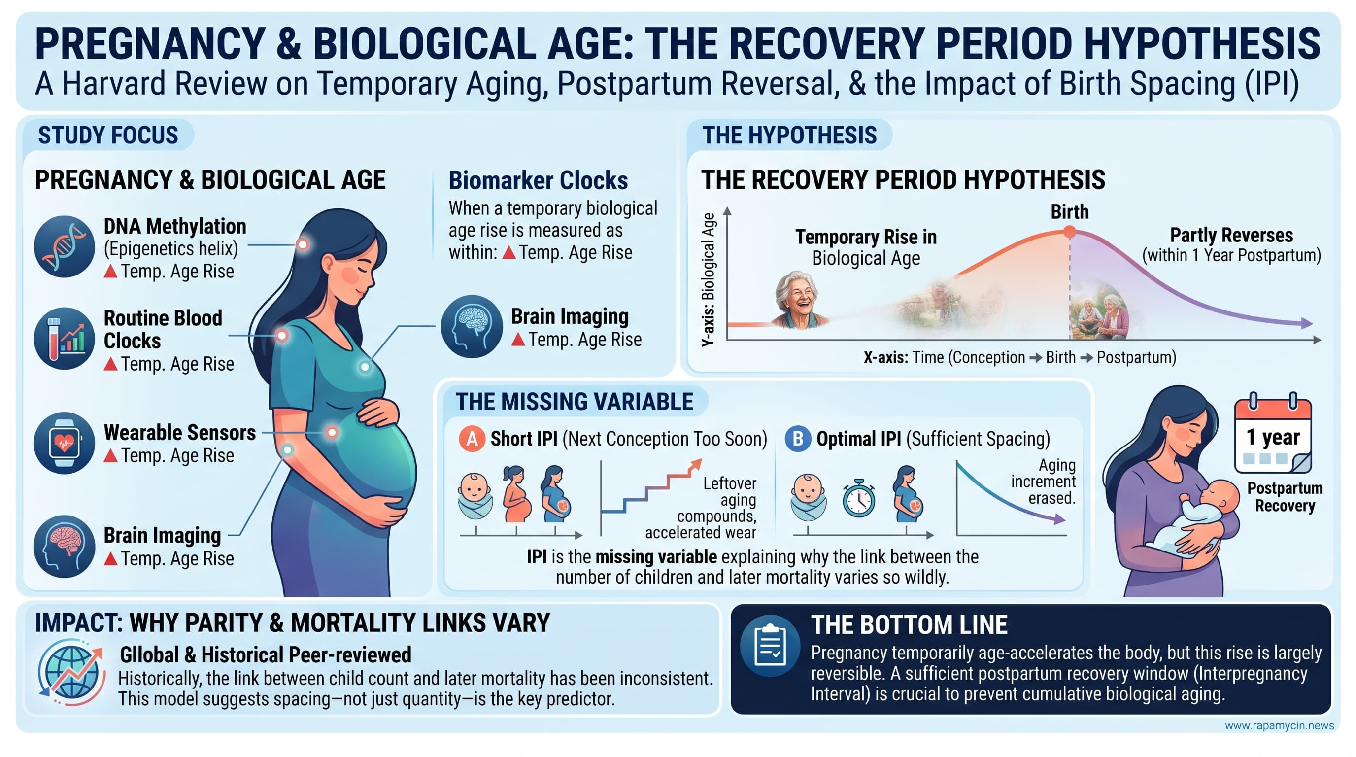 PregnancyAndAging (1)