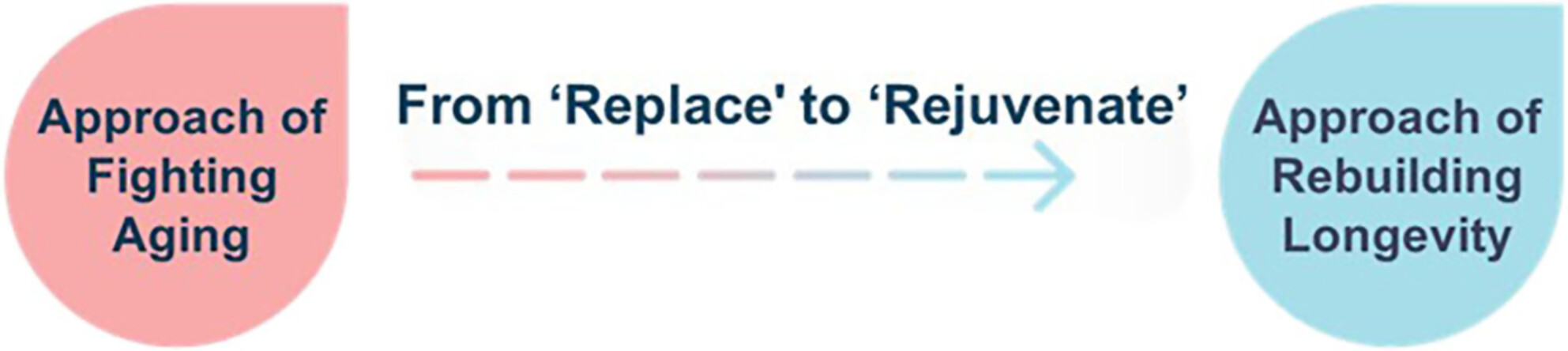 jocd16484-fig-0001-m