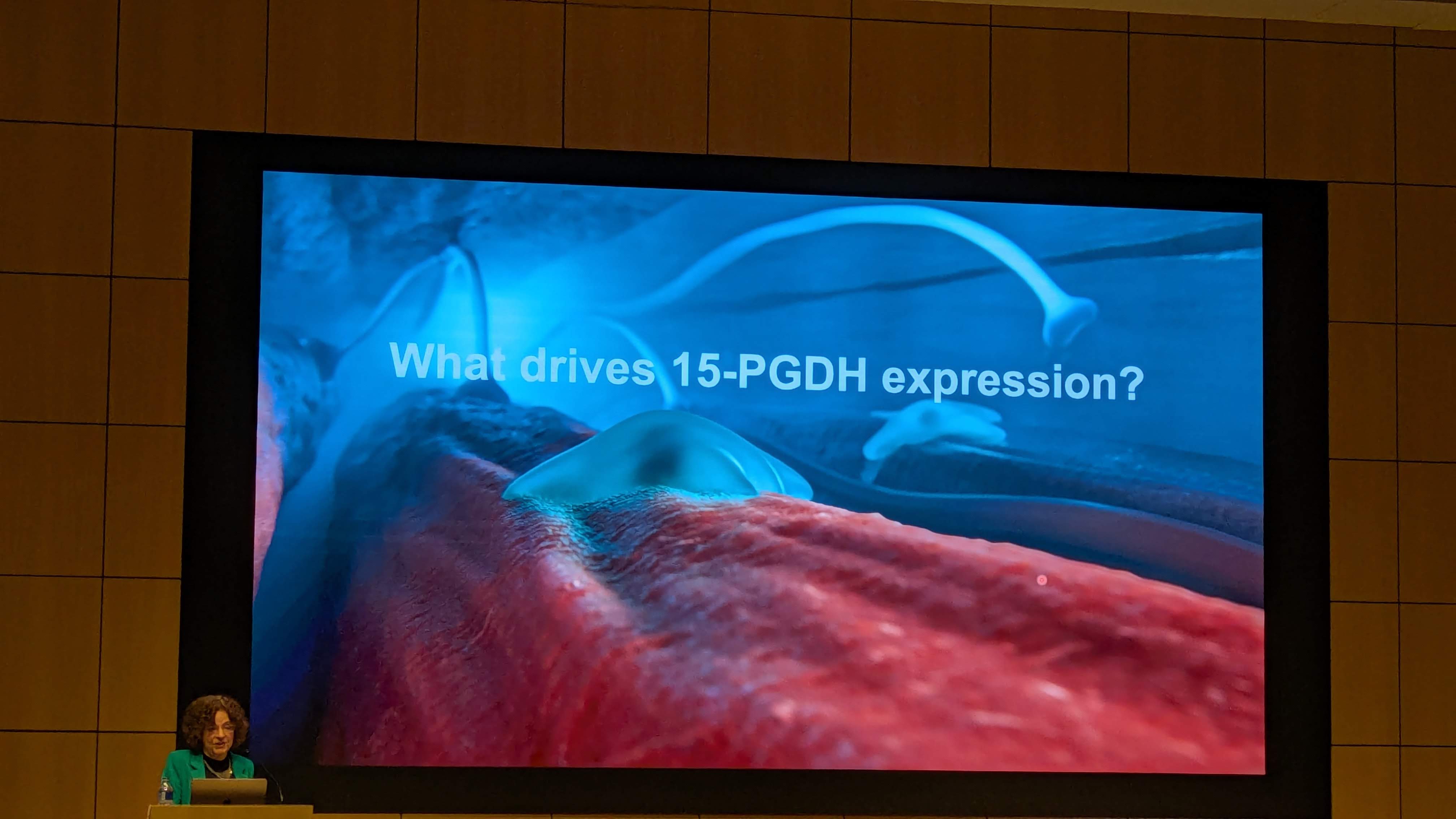 PXL_20251209_180141802