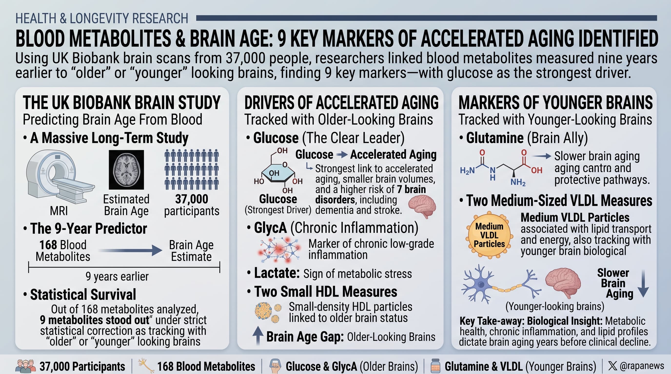 BloodSugarAgesBrain-2