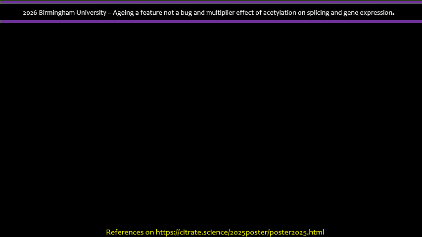 2026 03 31 birmingham