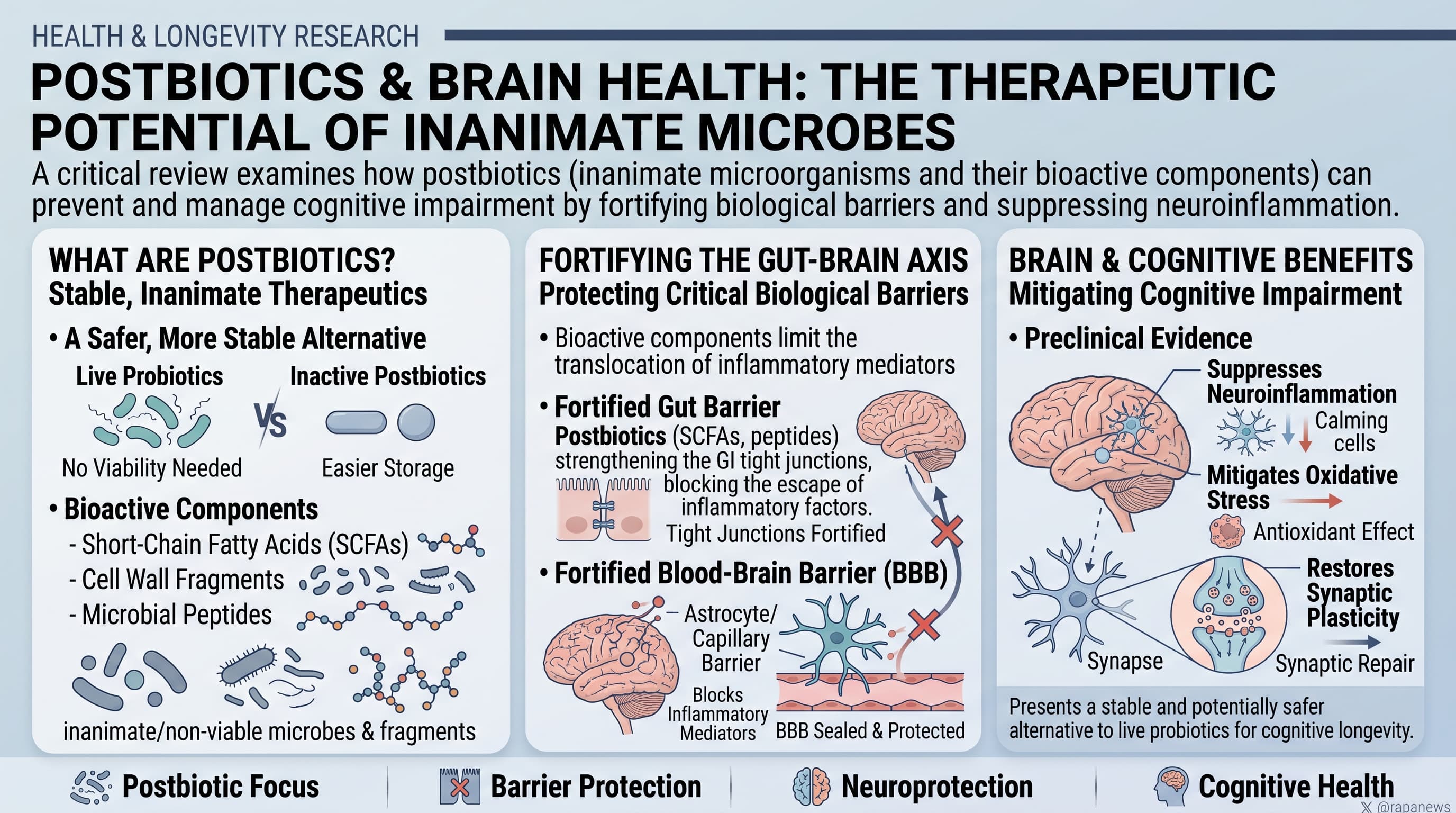 PostBioticsBrain