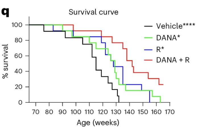 Screenshot 2025-10-10 at 8.08.16 AM