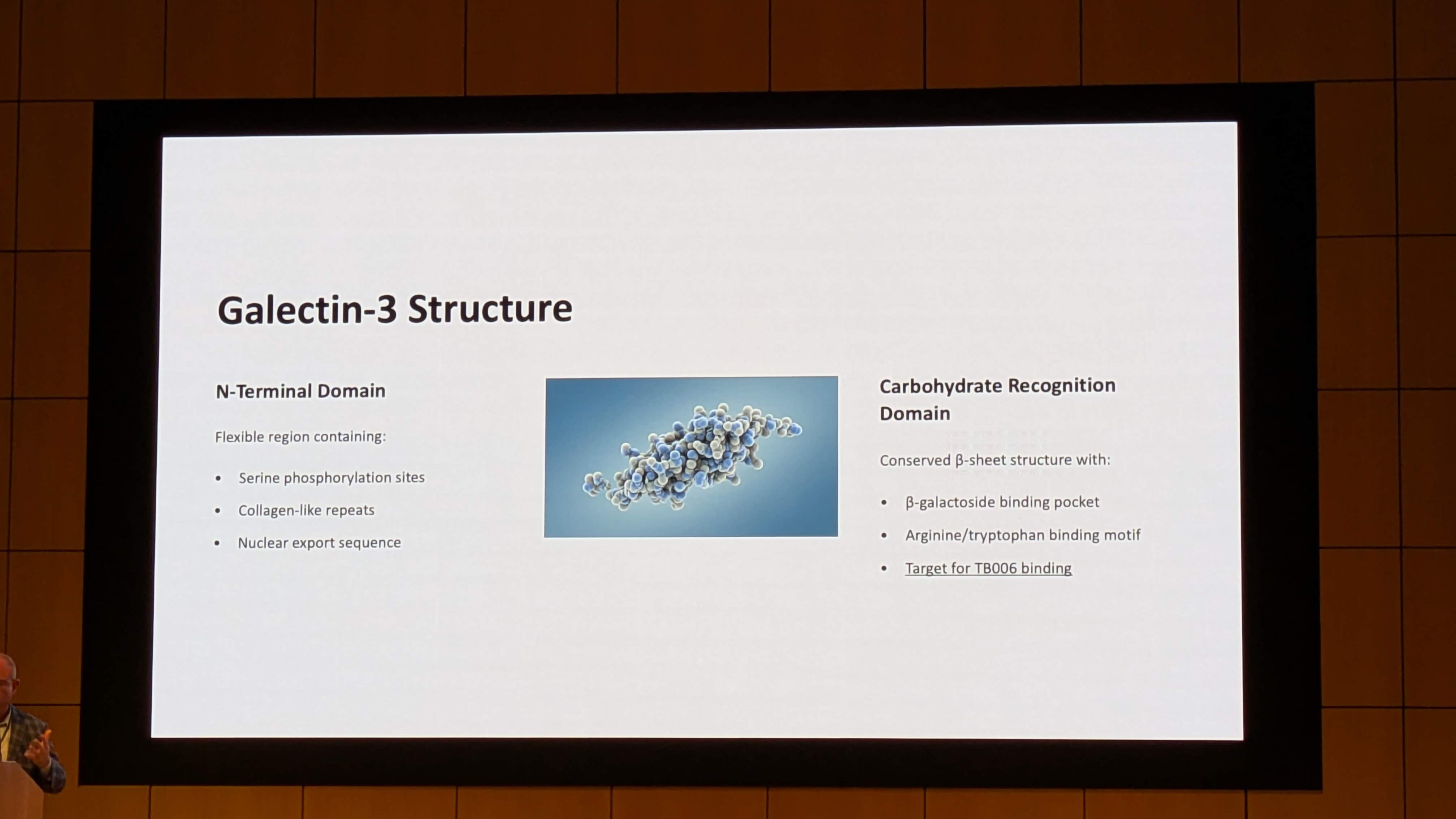 PXL_20251210_234241245