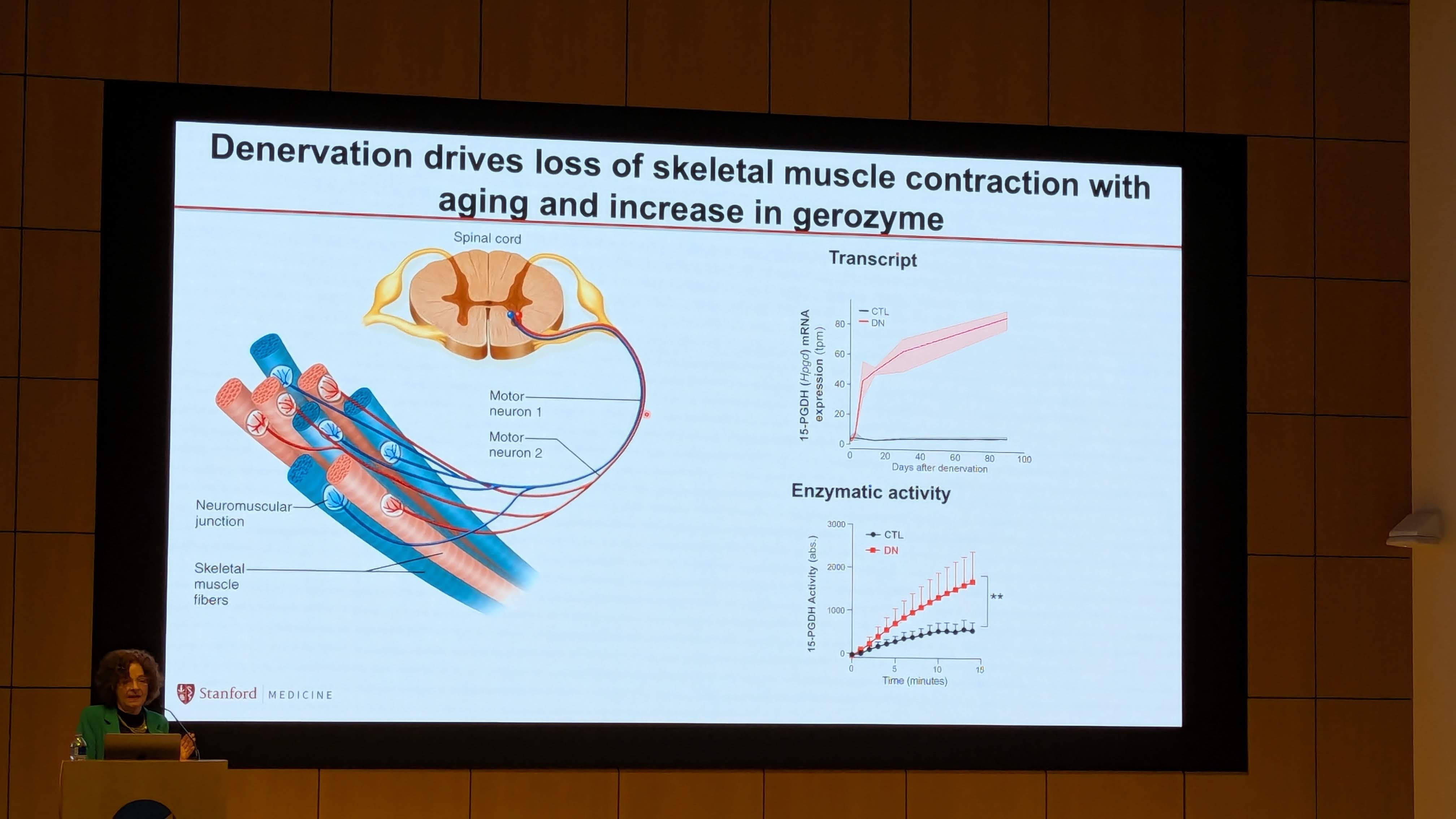 PXL_20251209_180200621