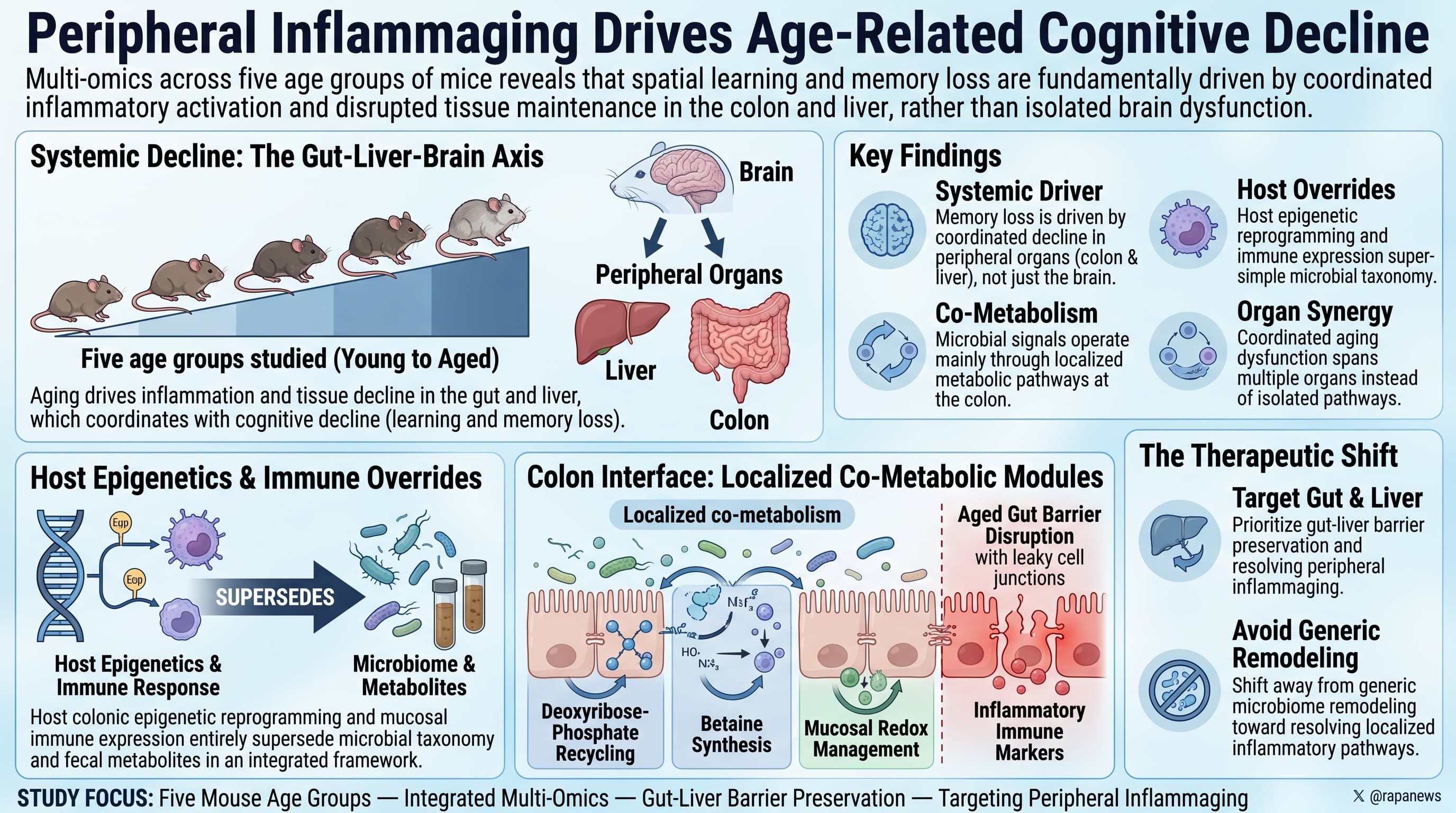 Microbiome-hostCognition-2