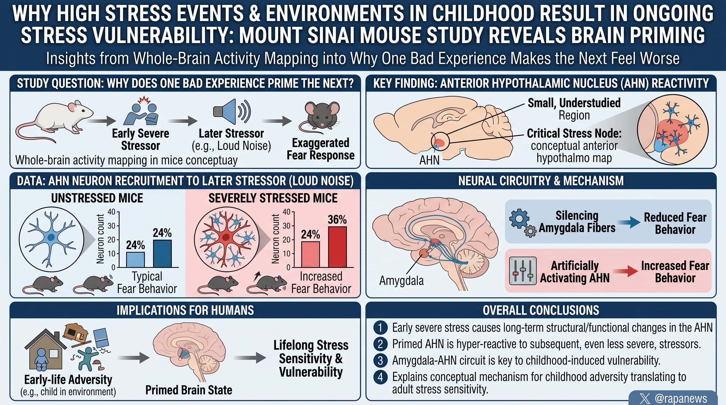 StressBrain