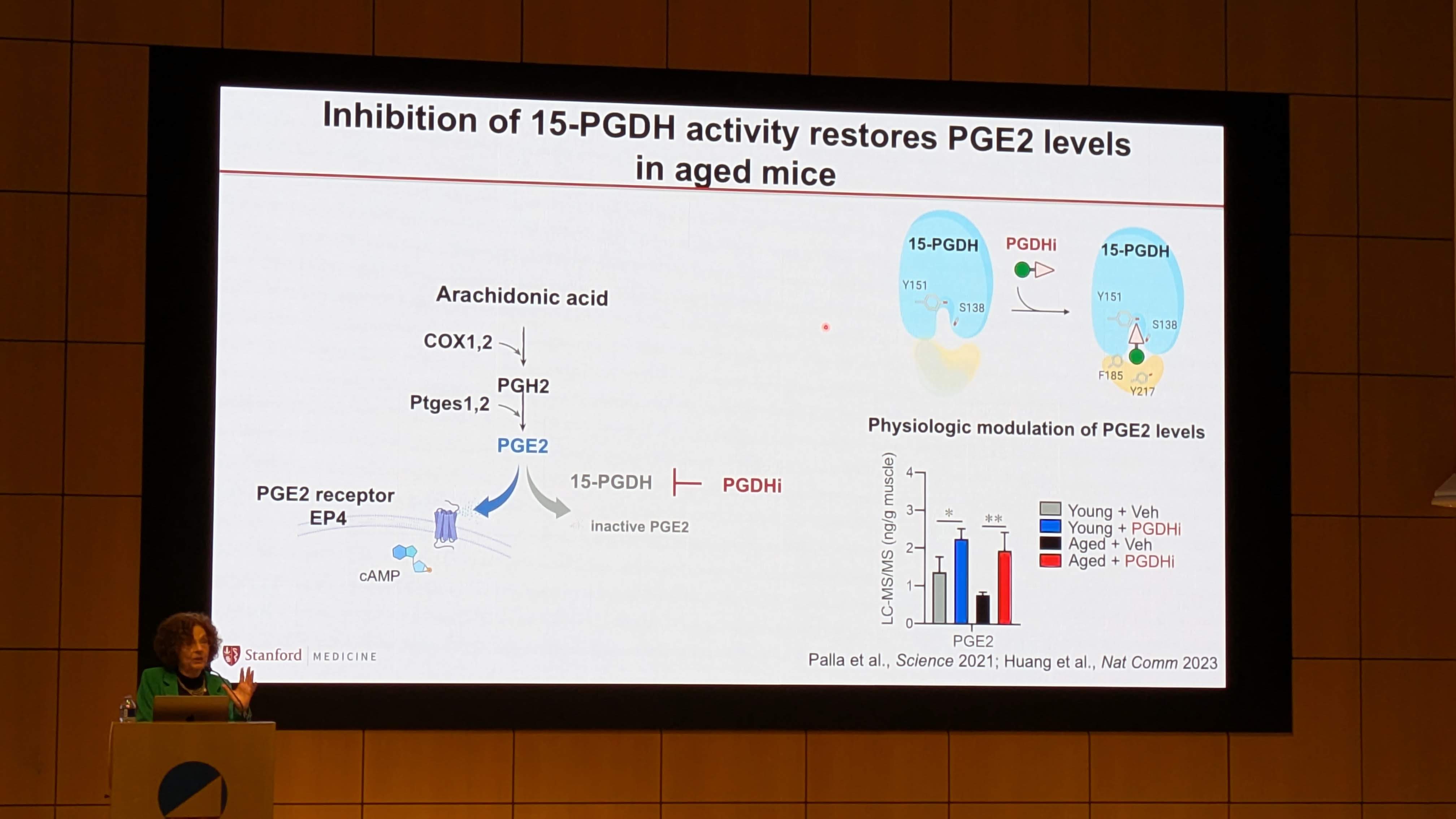 PXL_20251209_175840476