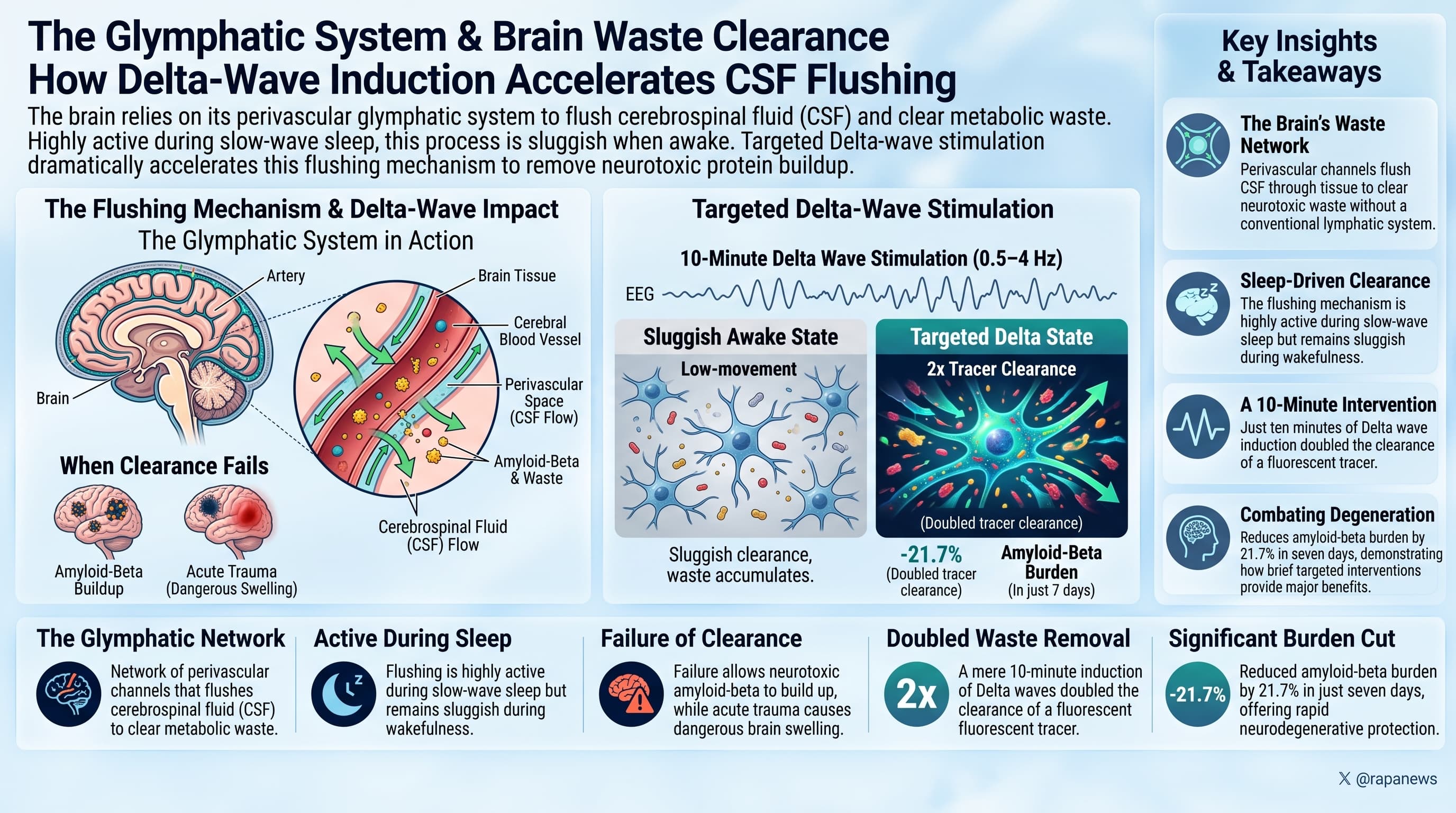 glymphaticClearance-2
