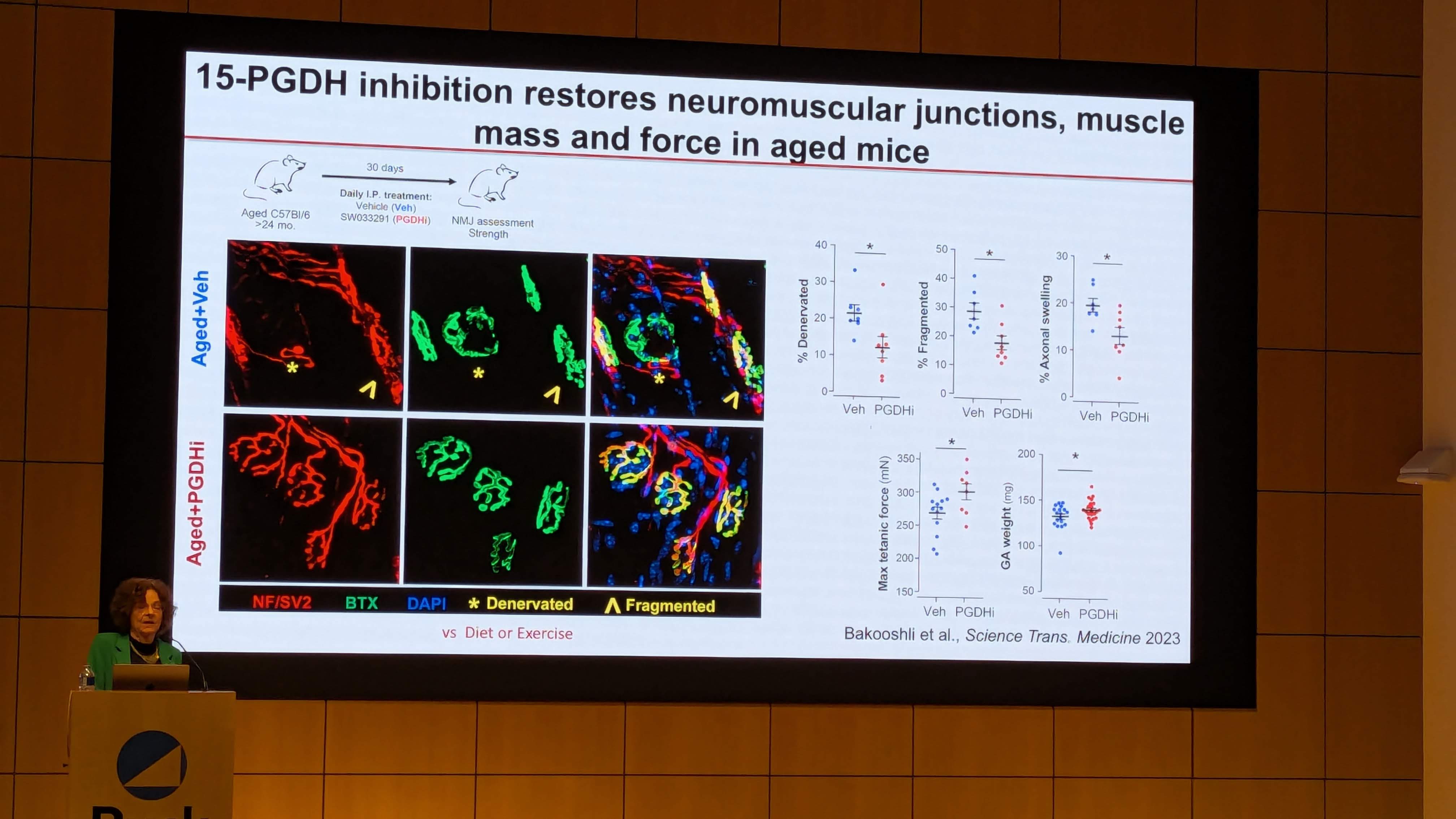 PXL_20251209_180213759