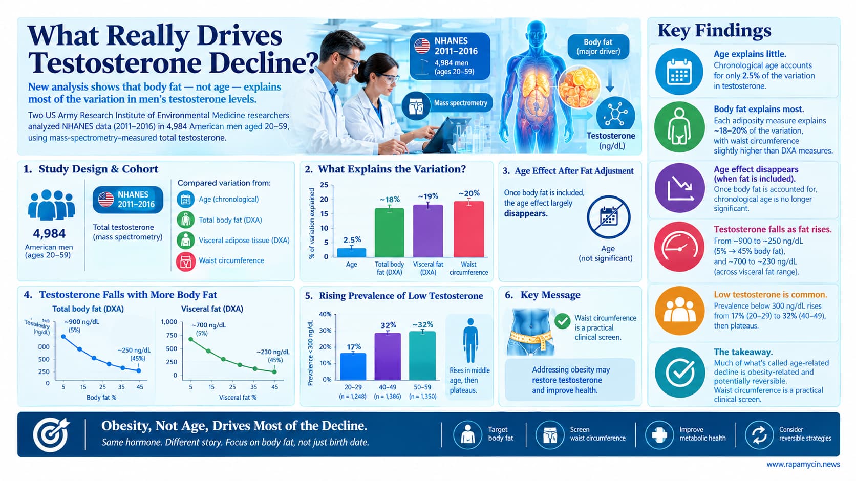 What Really Drives Testosterone Decline_