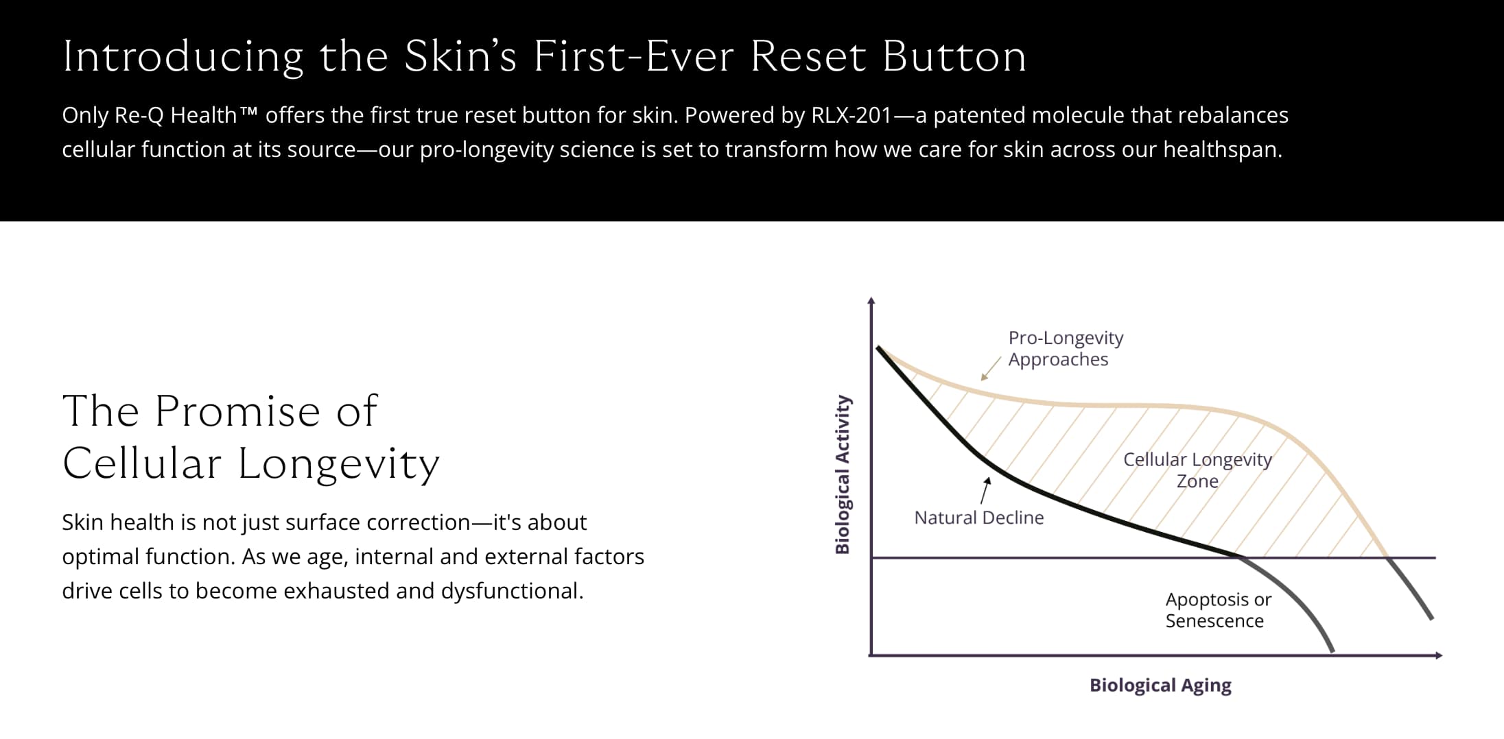 Screenshot 2025-10-30 at 1.36.12 PM
