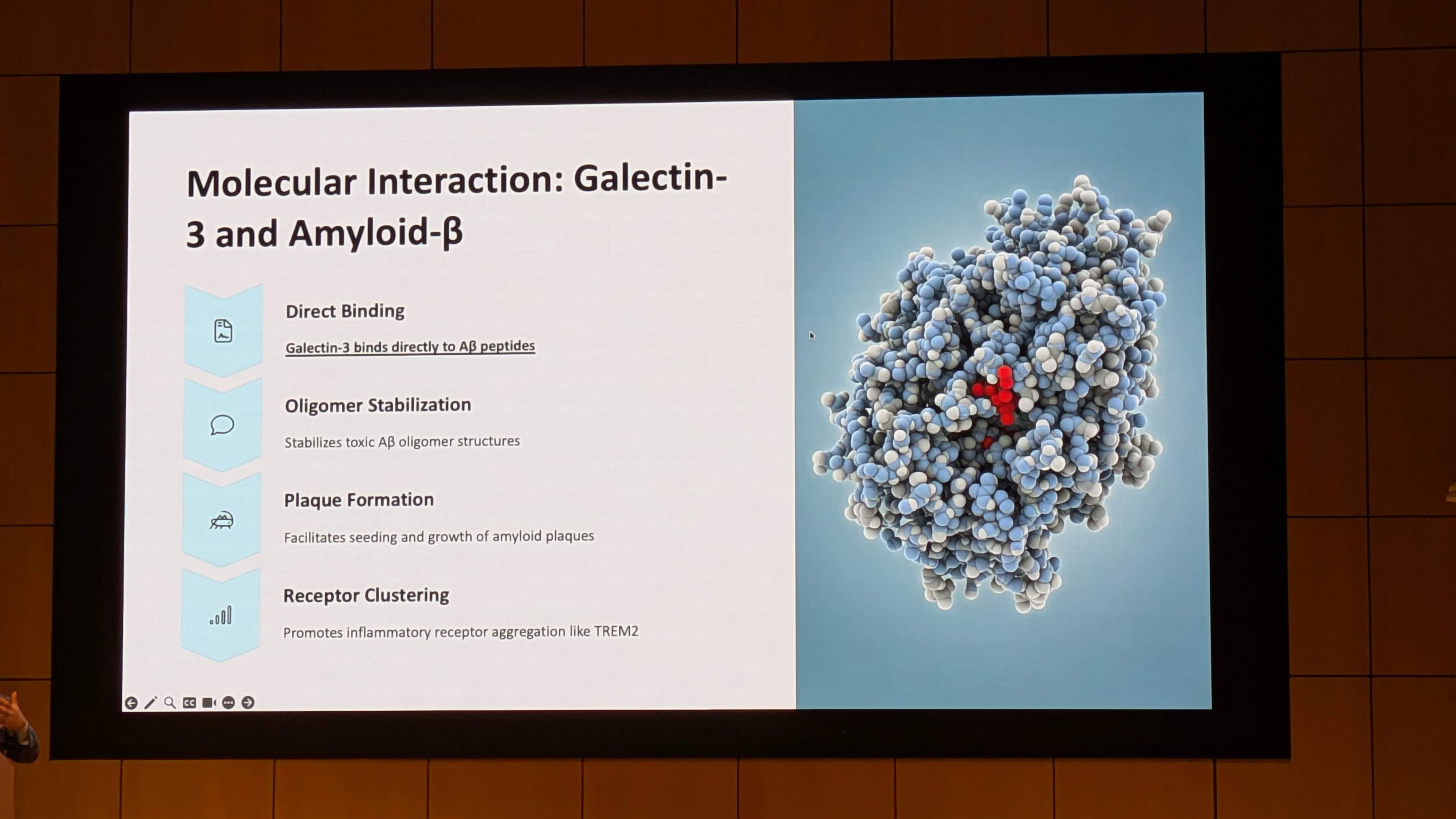 PXL_20251210_234342281