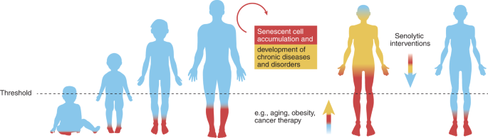 threshold_theory_of_senescence